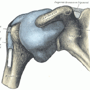 Impingement Syndrome and Bursitis