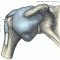 Impingement Syndrome and Bursitis