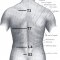 Lumbar Spine (Lower Back) Structure and Function