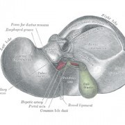 Cholecystectomy to Remove Gallbladder