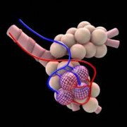 Preventing Lung Problems After Surgery and General Anesthesia