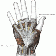 Guyon’s Canal Syndrome