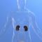 Urinary Tract Infections In Adults